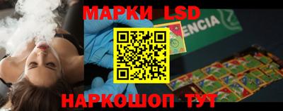 индика Можайск