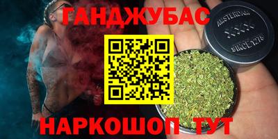индика Можайск