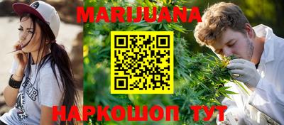 индика Можайск