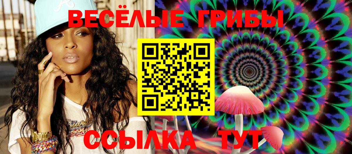 Владикавказ  Галлюциногенные грибы мухоморы  Вход с VPN 