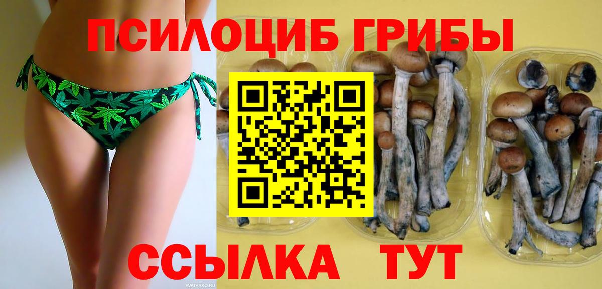 Псилоцибиновые грибы MAGIC MUSHROOMS Владикавказ